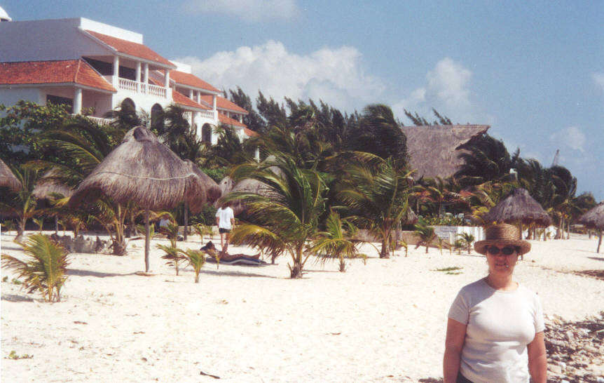 beach.jpg (81048 bytes)